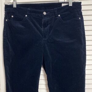 Vince Camuto Women's Washed Corduroy 5-Pocket Dark Blue Pants!